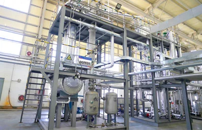 المدير العام للكيماويات دودجن Kang Xiaoling الحوار مع المواد الجديدة Dt