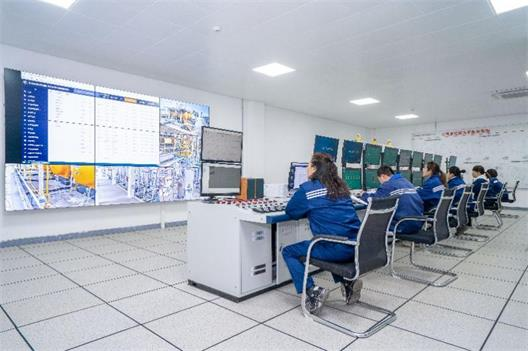 Central Control Room of Hydrogen Cyanide Plant Using DODGEN Technology